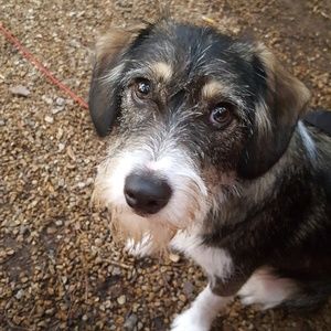 Meet your Posher, Tracie